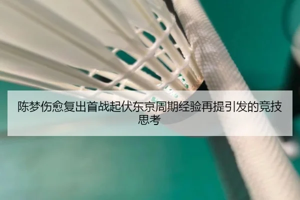 陈梦伤愈复出首战起伏东京周期经验再提引发的竞技思考