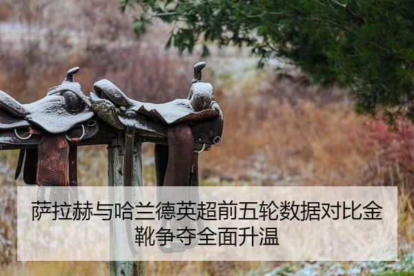 萨拉赫与哈兰德英超前五轮数据对比金靴争夺全面升温